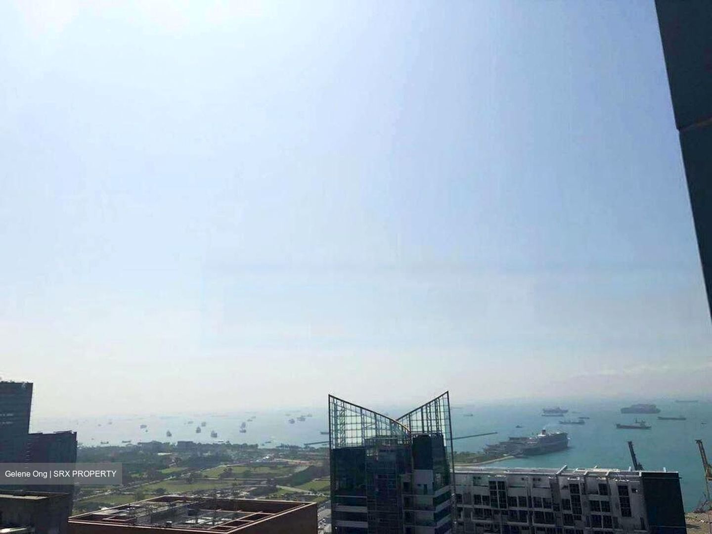 Skysuites@Anson (D2), Apartment #460156861